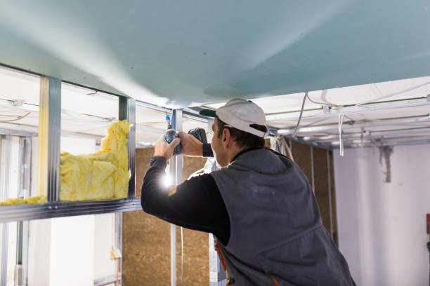 Best Fiberglass Insulation in Carbon Cliff, IL
