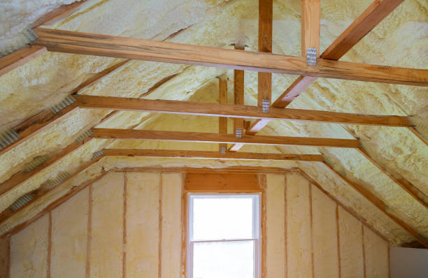 Professional Insulation Contractor in Carbon Cliff, IL