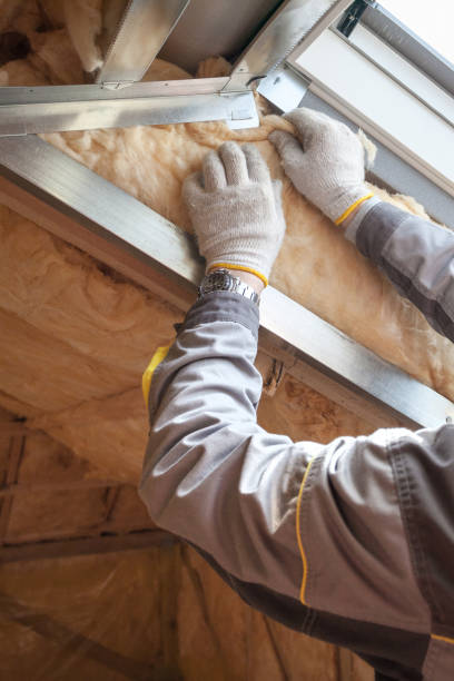 Types of Insulation We Offer in Carbon Cliff, IL