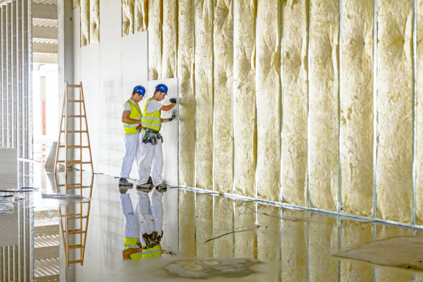 Best Insulation for Specific Applications in Carbon Cliff, IL